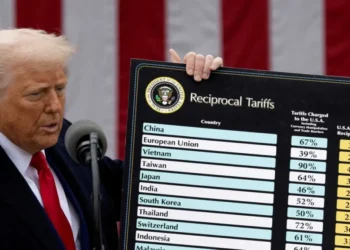 Chaos as tariff-weary businesses find refund portal ‘crashed’