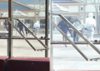 4 thieves steal Gucci handbags worth $30K in daylight smash-and-grab at NY shopping outlet