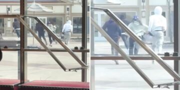 4 thieves steal Gucci handbags worth $30K in daylight smash-and-grab at NY shopping outlet