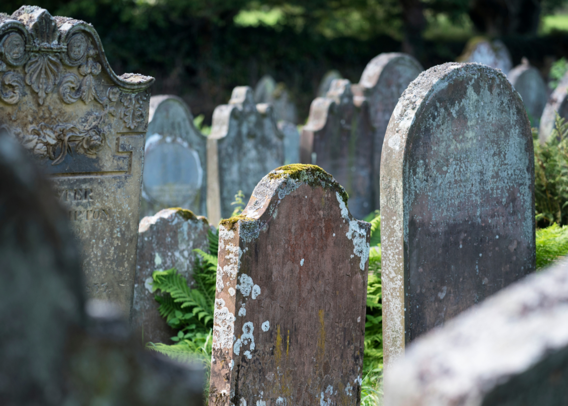 How a Patch of Moss Helped Cops Bust a Grave Robbing Ring