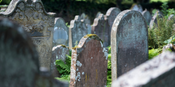 How a Patch of Moss Helped Cops Bust a Grave Robbing Ring