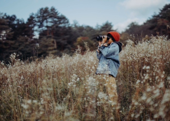 How Birdwatching Changes Your Brain, According to Science