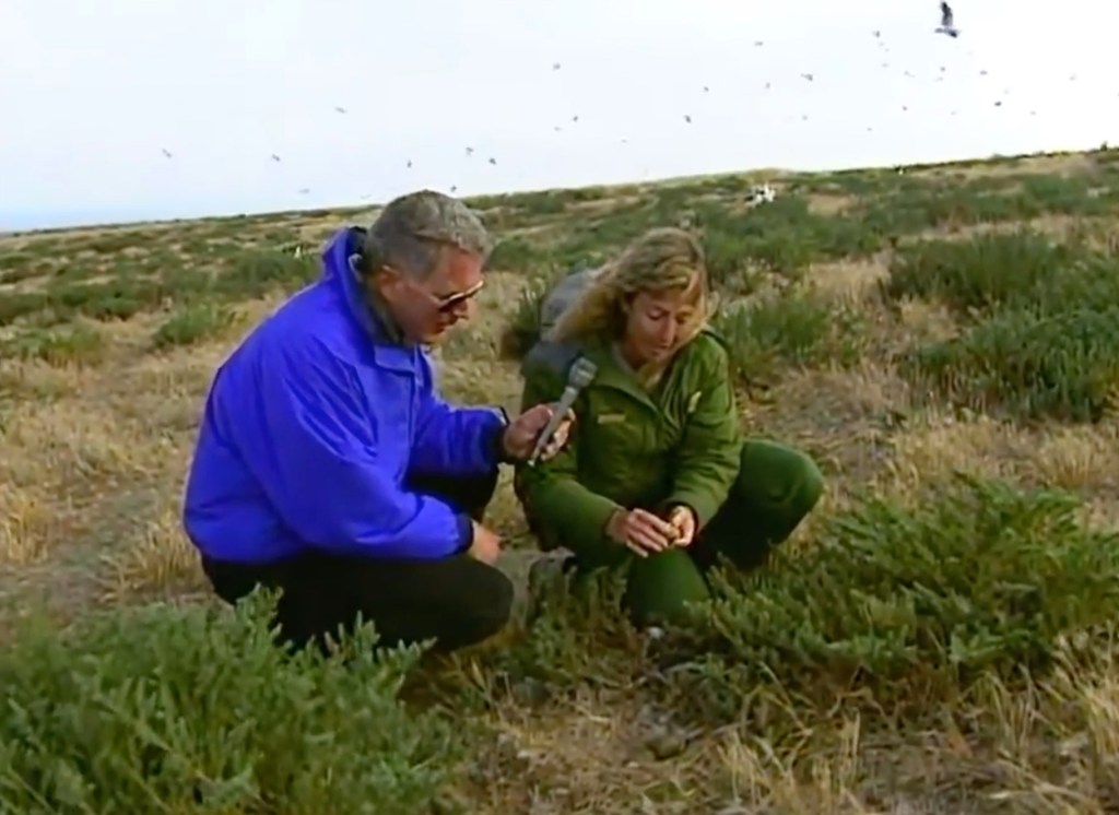 Huell Howser interviews a female park ranger on Santa Barbara Island.