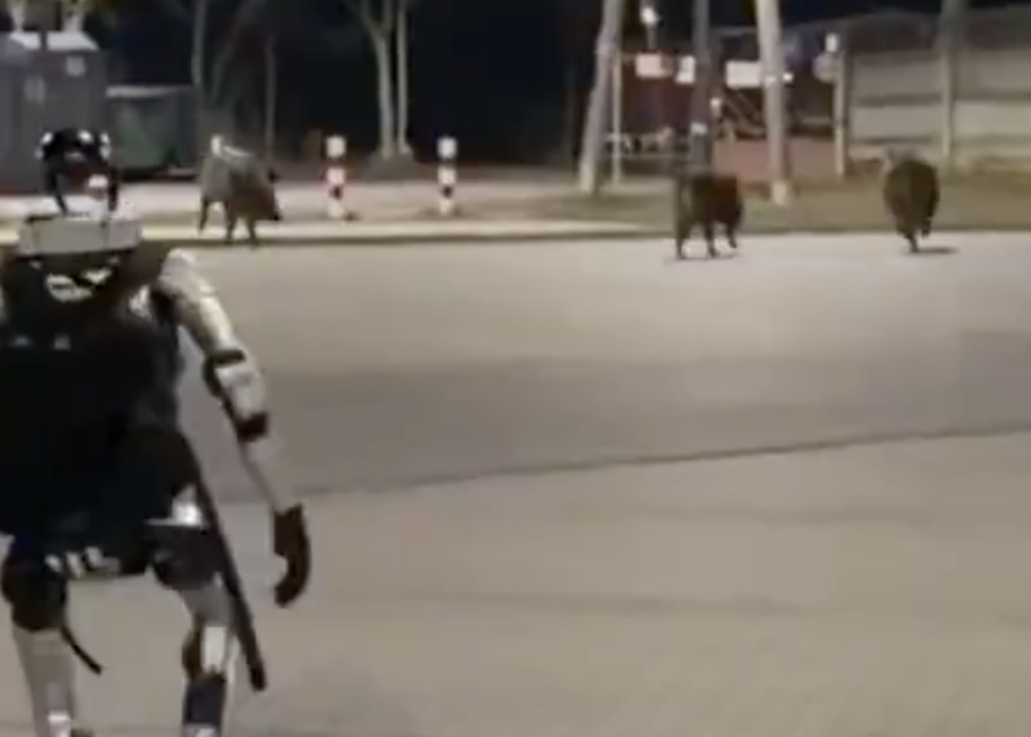 Humanoid Robot Filmed Chasing a Pack of Wild Boars, and It Looks as Weird as It Sounds