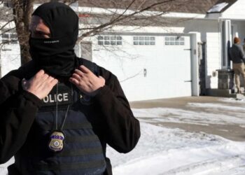 Analysts outraged at report of Trump’s ICE arresting military spouse: ‘Shameful’