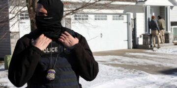 Analysts outraged at report of Trump’s ICE arresting military spouse: ‘Shameful’