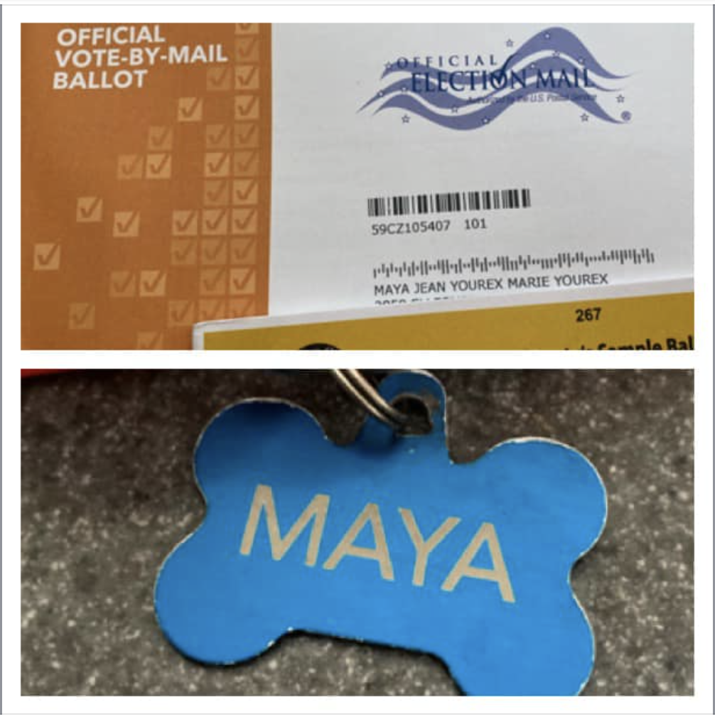 Collage of a vote-by-mail ballot and an envelope addressed to Maya Jean Yourex Marie Yourex, and a dog tag engraved with the name 