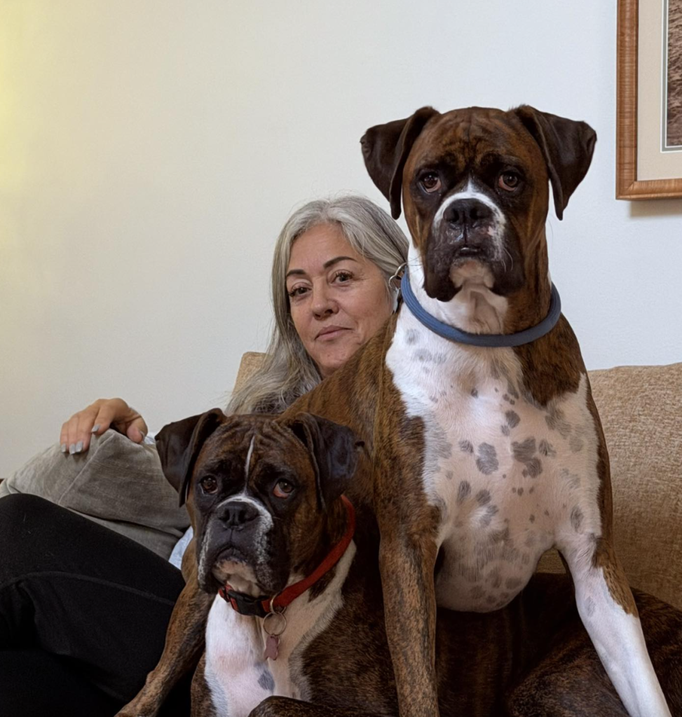 Laura Yourex with her two Boxer dogs, Maya and one other, on a couch.