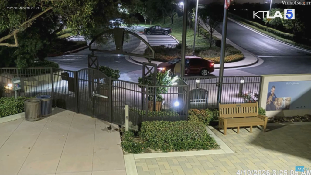 A red car stops in front of an animal care facility, a man gets out, and throws a puppy over the fence.
