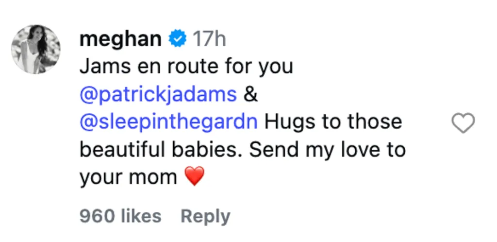 An Instagram comment from Meghan Markle responding to Patrick J. Adams and Sleepinthegardn, stating 