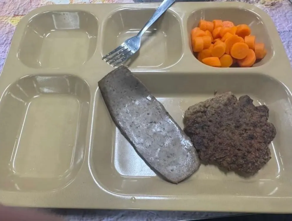 Poor quality meal on a plastic tray, with carrots, a meat patty, and a gray slab of food.