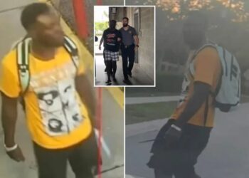 Haitian illegal immigrant bludgeons mother-of-two to death with hammer outside Florida gas station in broad daylight