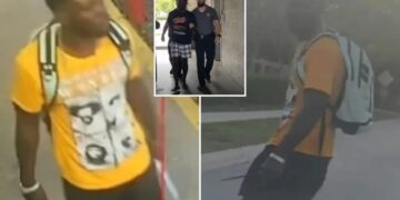 Haitian illegal immigrant bludgeons mother-of-two to death with hammer outside Florida gas station in broad daylight
