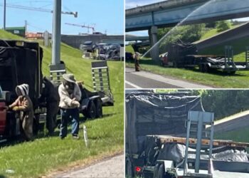 1 million bees swarm highway after crash shuts down interstate ramp for hours