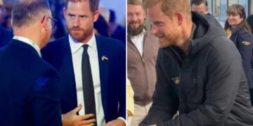 Prince Harry makes surprise visit in Ukraine in show of support during war