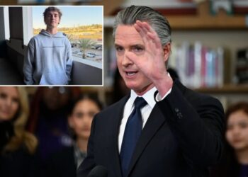 Californians are discovering that fraud is not a bug, but a feature