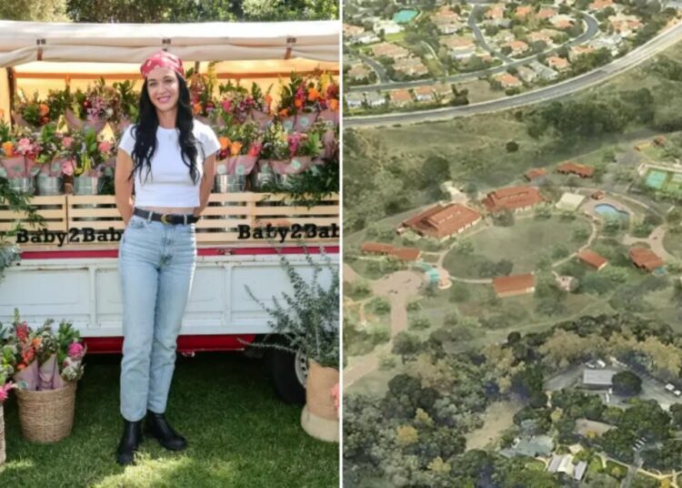 Katy Perry looks to build California youth camp, neighbors may have other plans