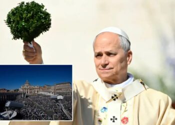 Pope Leo marks first Easter as pontiff with call for hope amid global conflicts