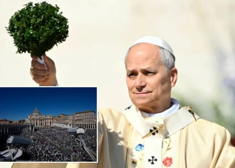 Pope Leo marks first Easter as pontiff with call for hope amid global conflicts