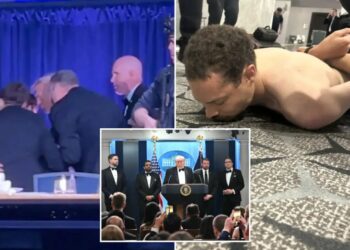 White House Correspondents Dinner shooting suspect Cole Allen admits he was targeting Trump officials: report