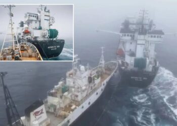 Activist’s group accused of ‘terrorist attack’ in collision with Antarctic krill trawler