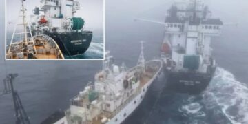 Activist’s group accused of ‘terrorist attack’ in collision with Antarctic krill trawler