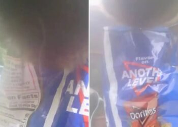 Sneaky bear snatches bag of Doritos left outside CT home, video shows