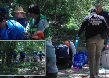 Human remains belonging to multiple children between ages 3 and 7 discovered in Memphis woods