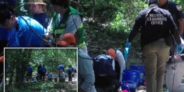 Human remains belonging to multiple children between ages 3 and 7 discovered in Memphis woods