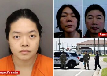 Parents of MacDill bomb suspects are illegal immigrants, DHS warns of birthright citizenship dangers