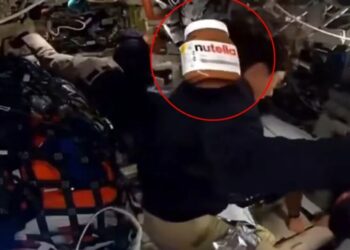 Lone Jar of Nutella Drifts Around Cabin of Moon Spacecraft