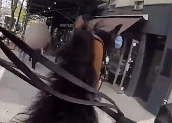 An Arrest in the Streets of New York, on Horseback