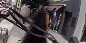 An Arrest in the Streets of New York, on Horseback