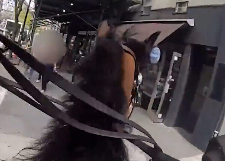 An Arrest in the Streets of New York, on Horseback