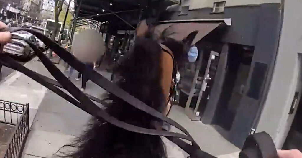 An Arrest in the Streets of New York, on Horseback