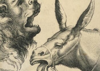 Lions Led by Donkeys