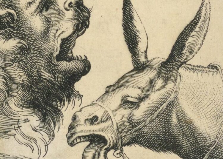 Lions Led by Donkeys