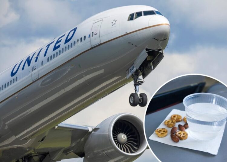 Flyer slams United Airlines for disregarding her life-threatening allergy: ‘That’s not a solution’