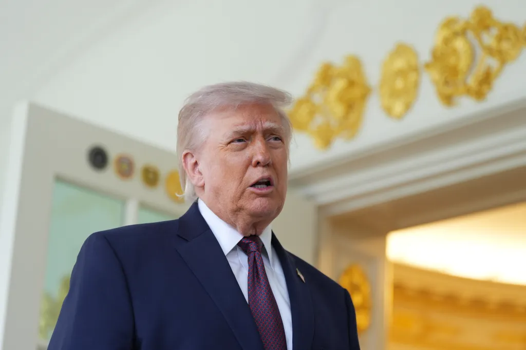 The reported pitch took place during a White House meeting with Trump in February.