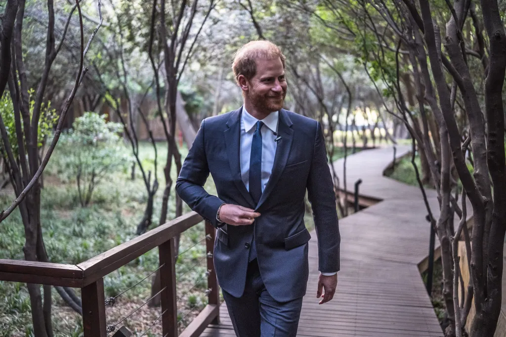 Prince Harry, Duke of Sussex, walking on a wooden pathway through a wooded area.