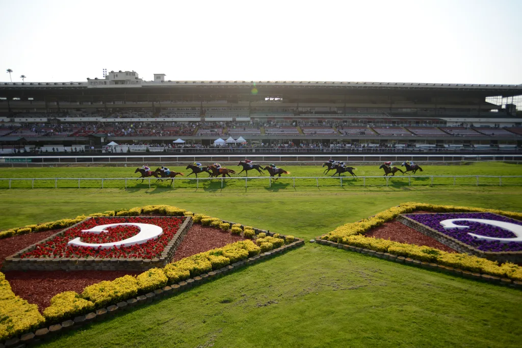 Horses racing at Golden Gate Fields.