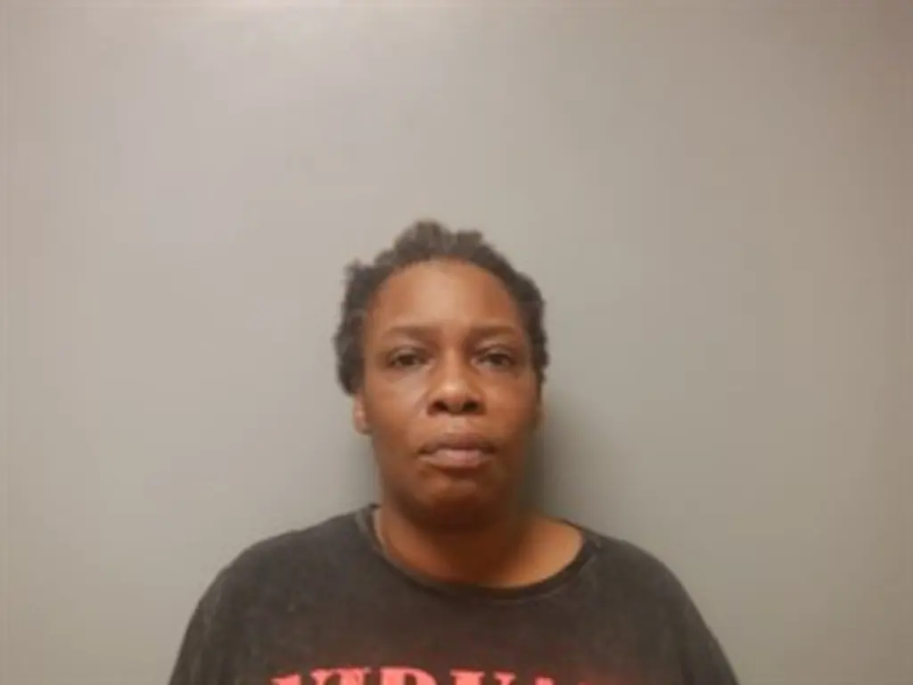 Mugshot of Rene Nichole Coleman, 50, facing a felony theft charge.
