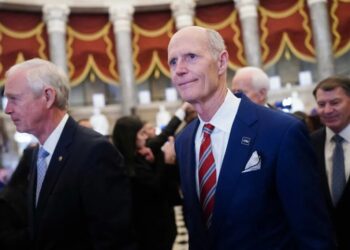 MAGA Senator mocked for defending high prices: ‘It’s really tough for him, guys!’