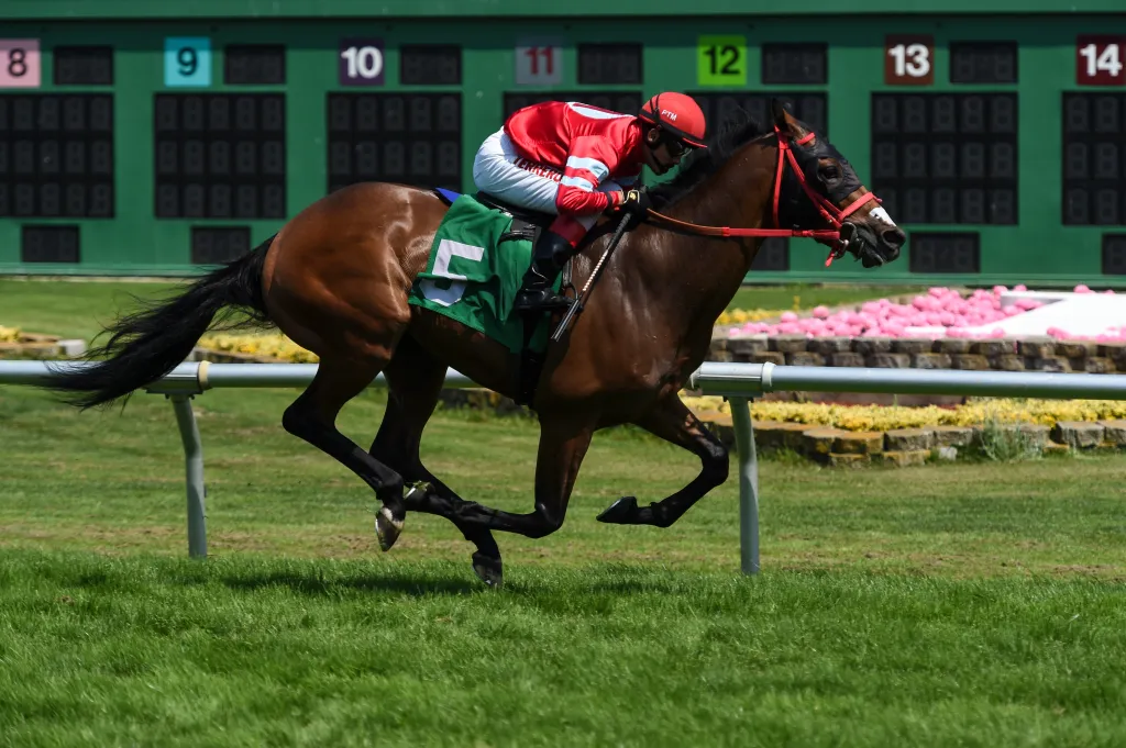 River Rose, with Pedro Terrero up, winning the 1st Race at Golden Gate Fields.