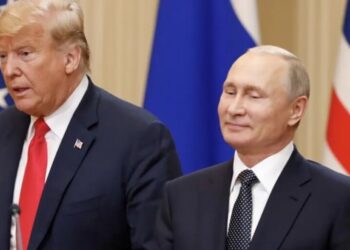 ‘Stop doing favors for Mr Putin’: WSJ rakes Trump over coals for latest Russia gift