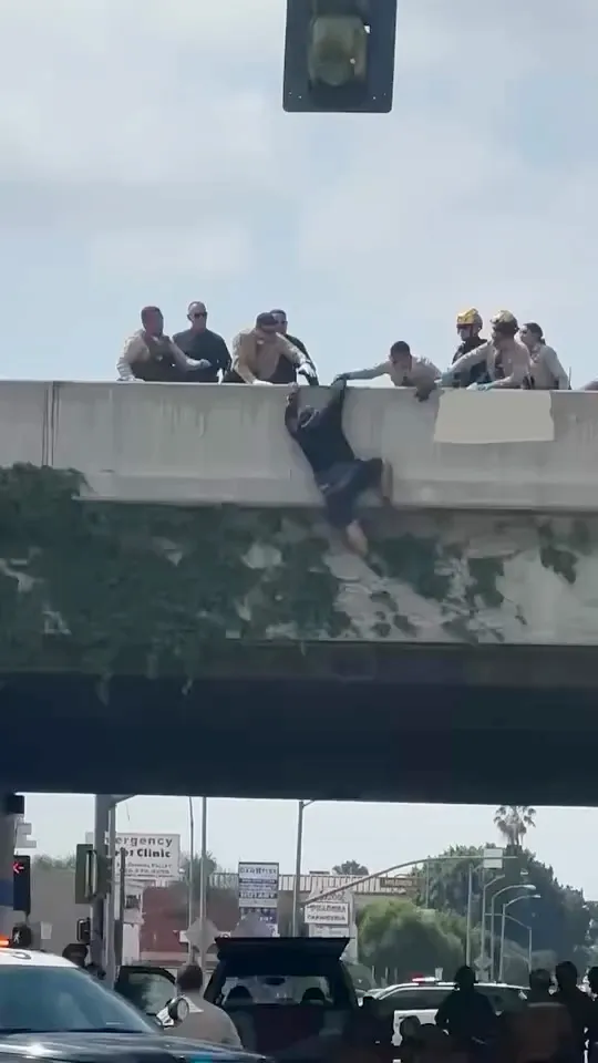 Officers pulling a man up from the edge of a freeway overpass.