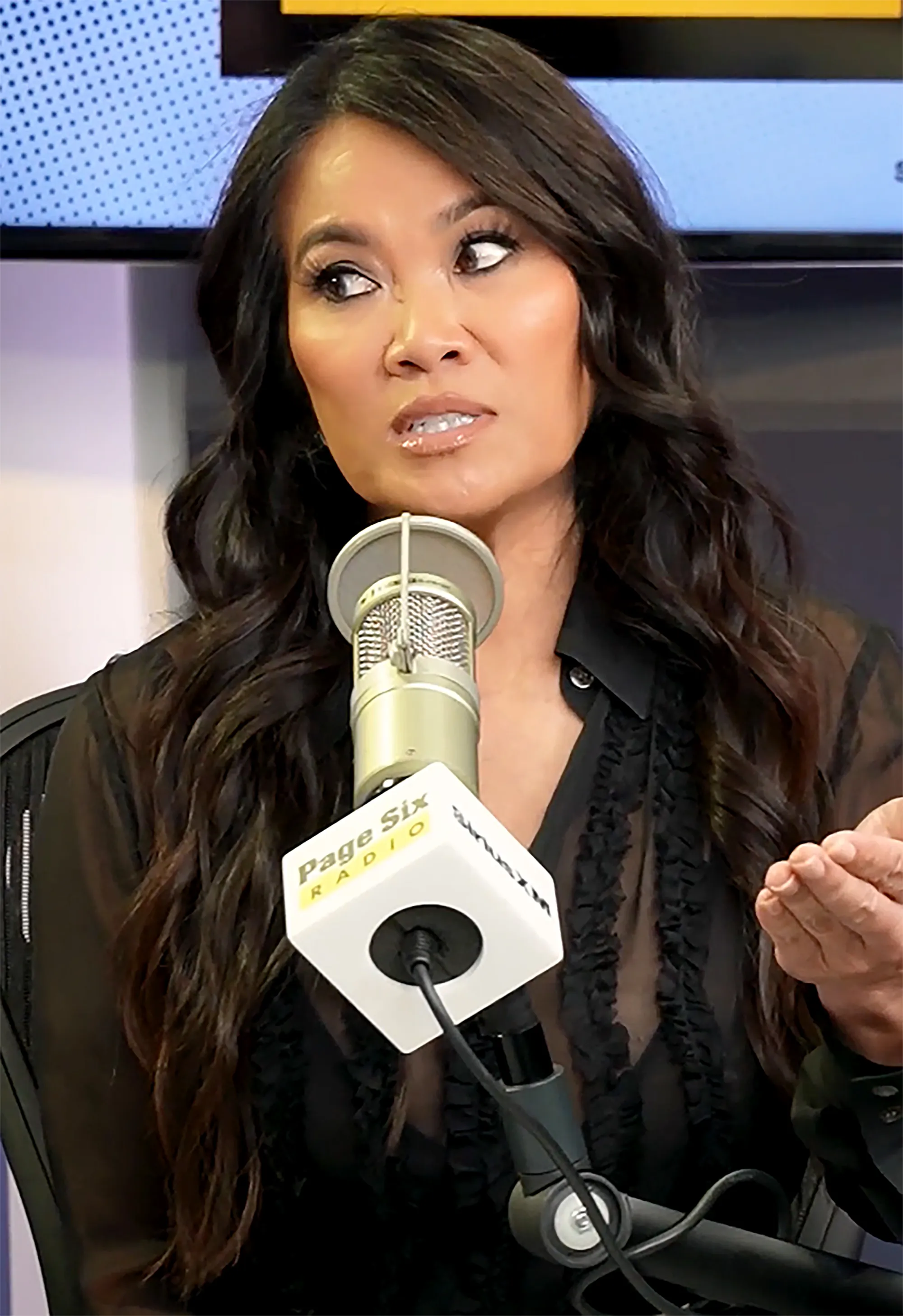 Sandra Lee speaking into a 