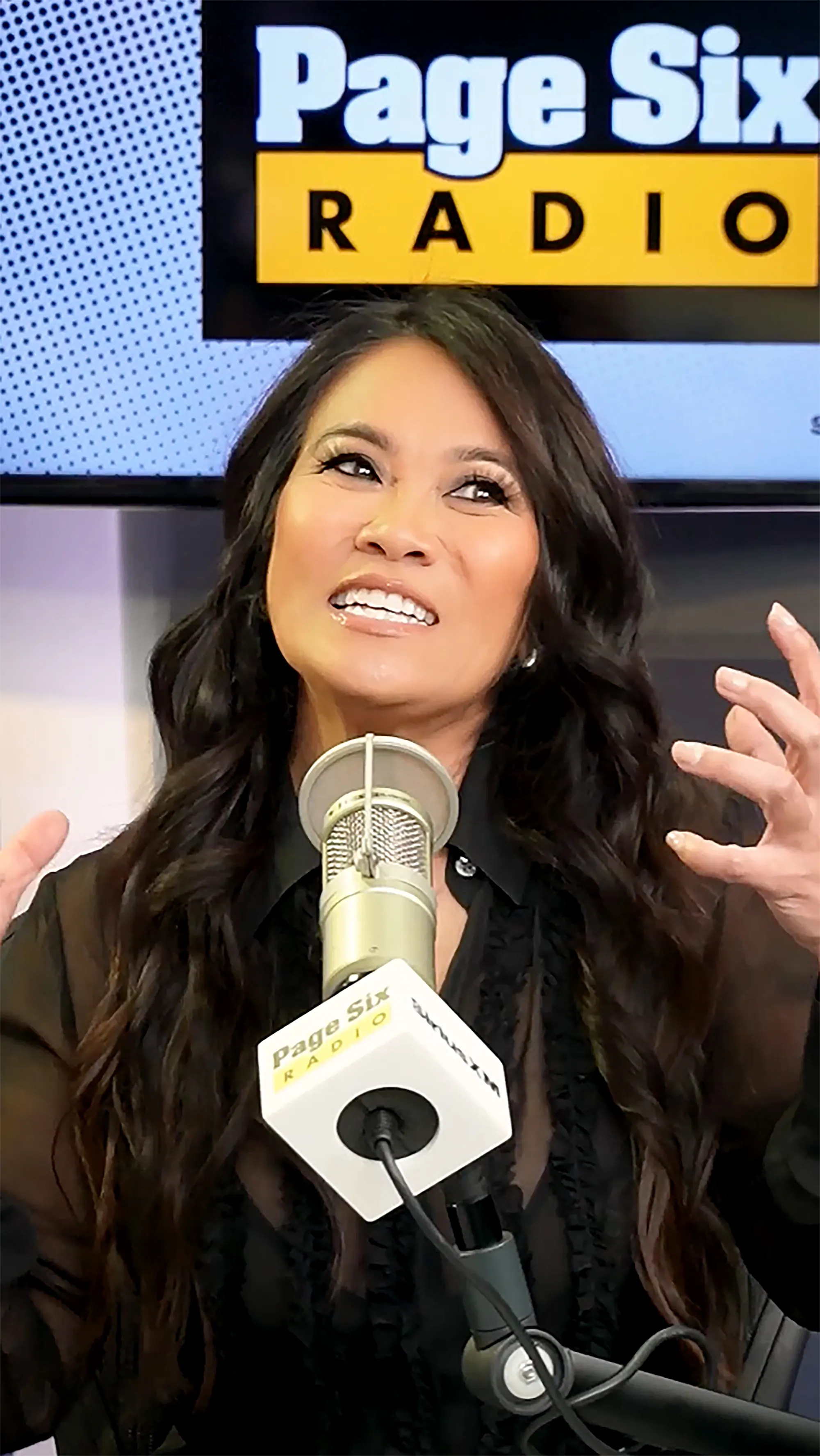 Sandra Lee speaking into a microphone at Page Six Radio.