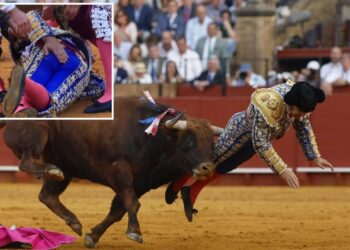 Famed Spanish matador suffers humiliating injury in bullfight blunder