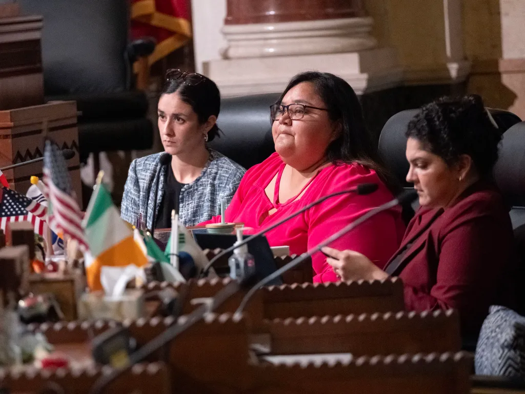 Councilmember Eunisses Hernandez at a special meeting of the budget and finance committee.